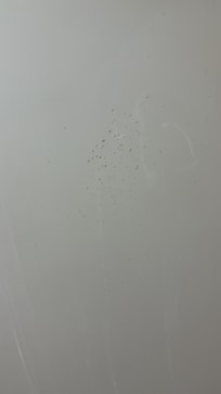 Mold in shower