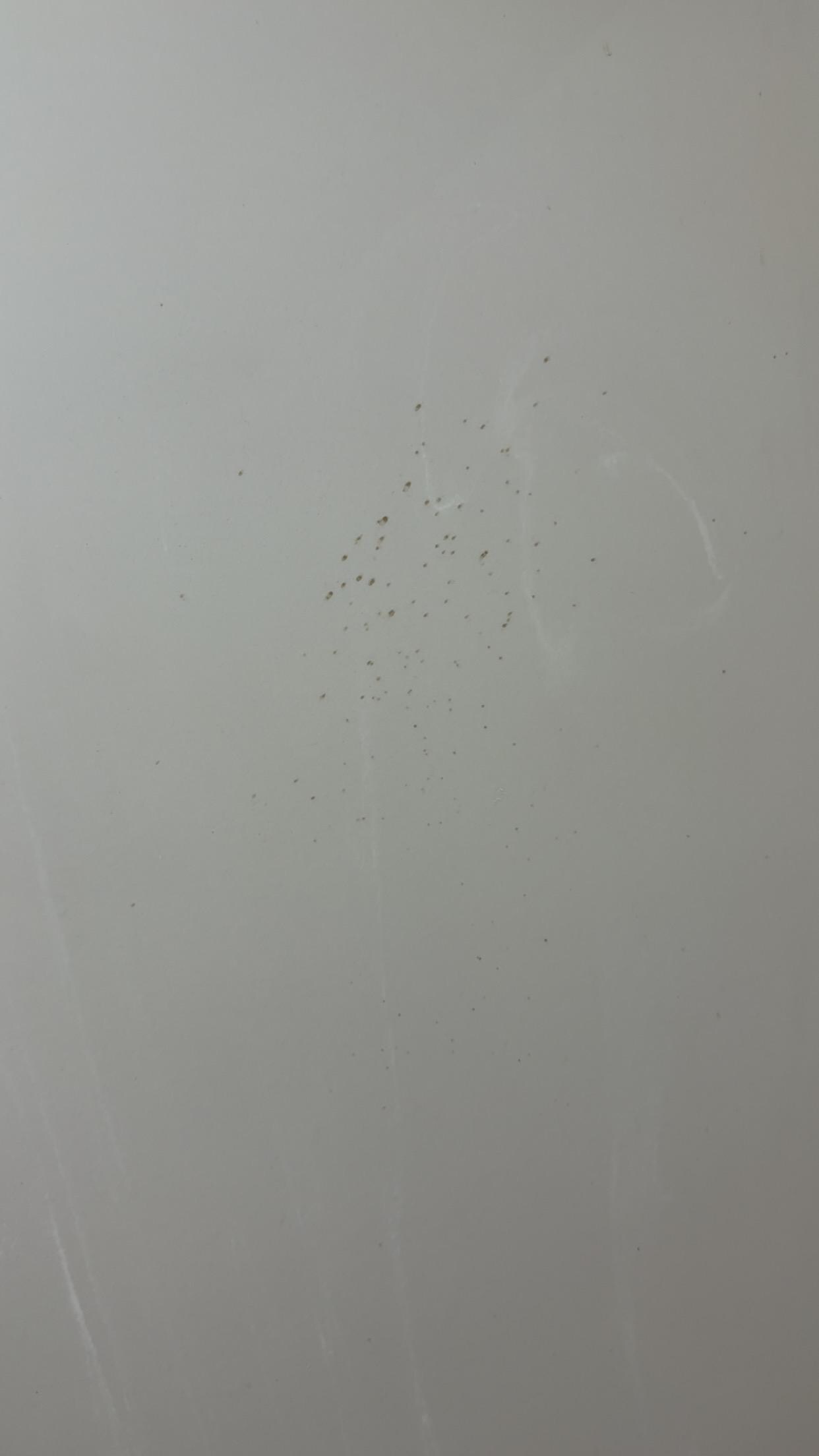 Mold in shower
