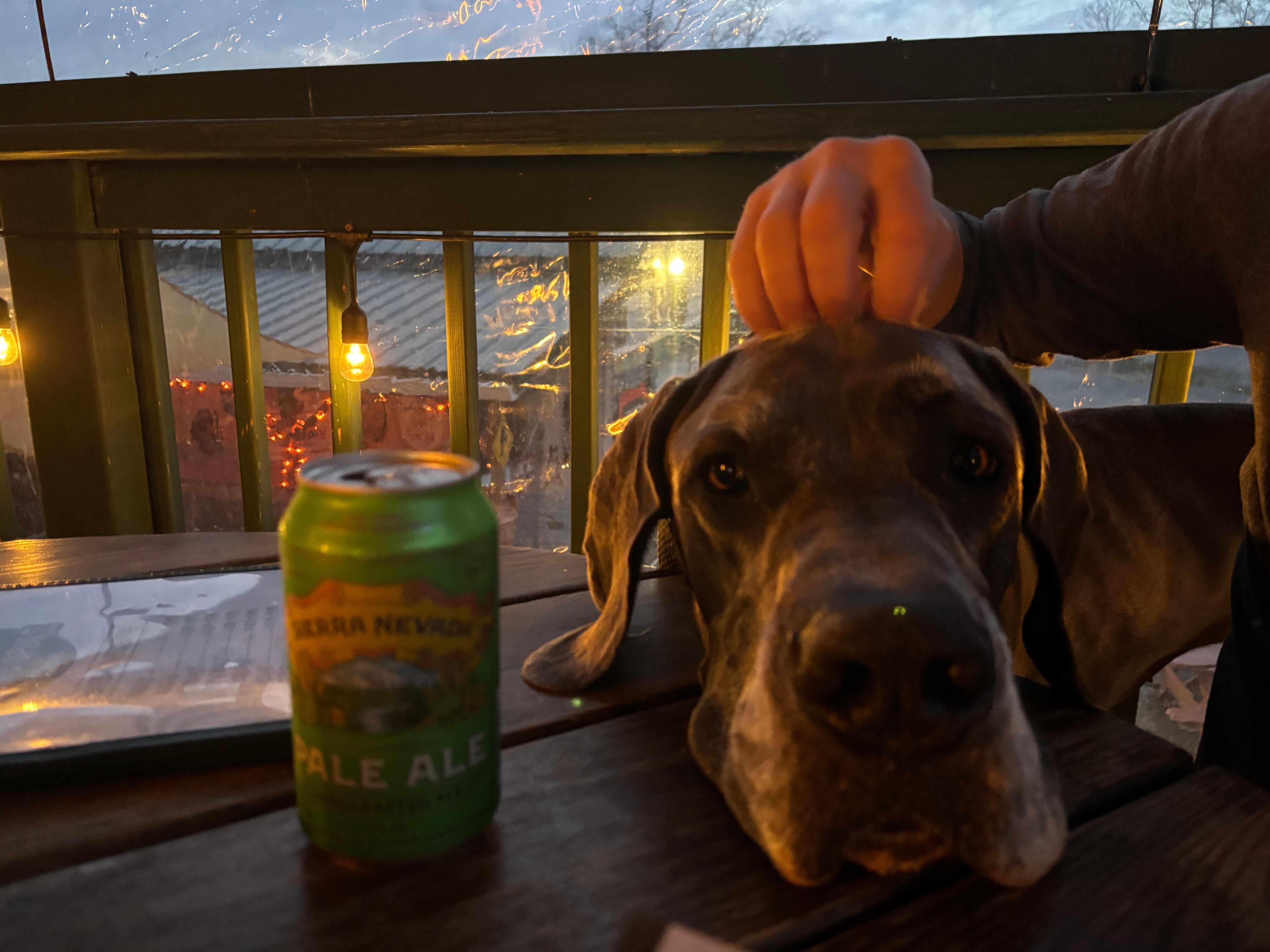 Relaxing dinners in the evening. 