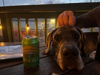 Relaxing dinners in the evening.