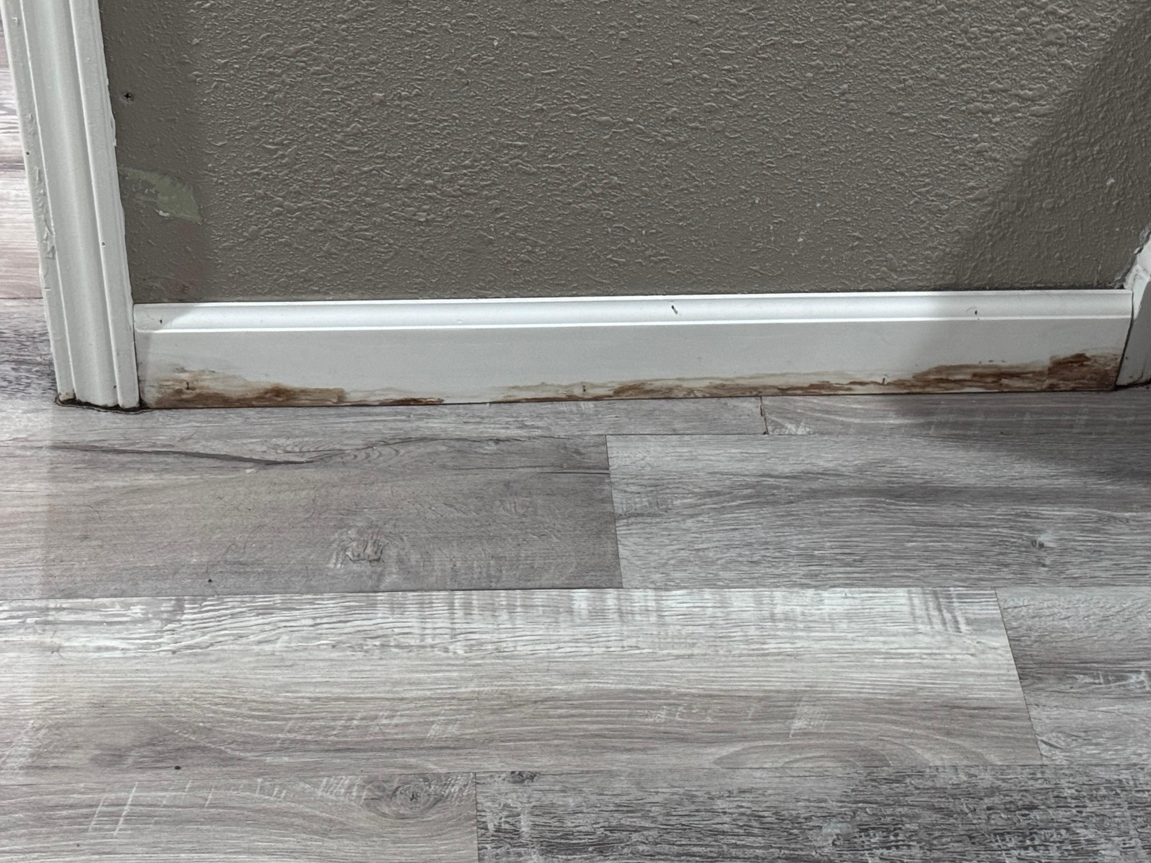 More water damage down stairs along the baseboards