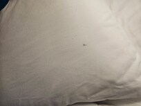 Stained/dirty pillows