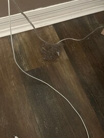 Dust balls in corner