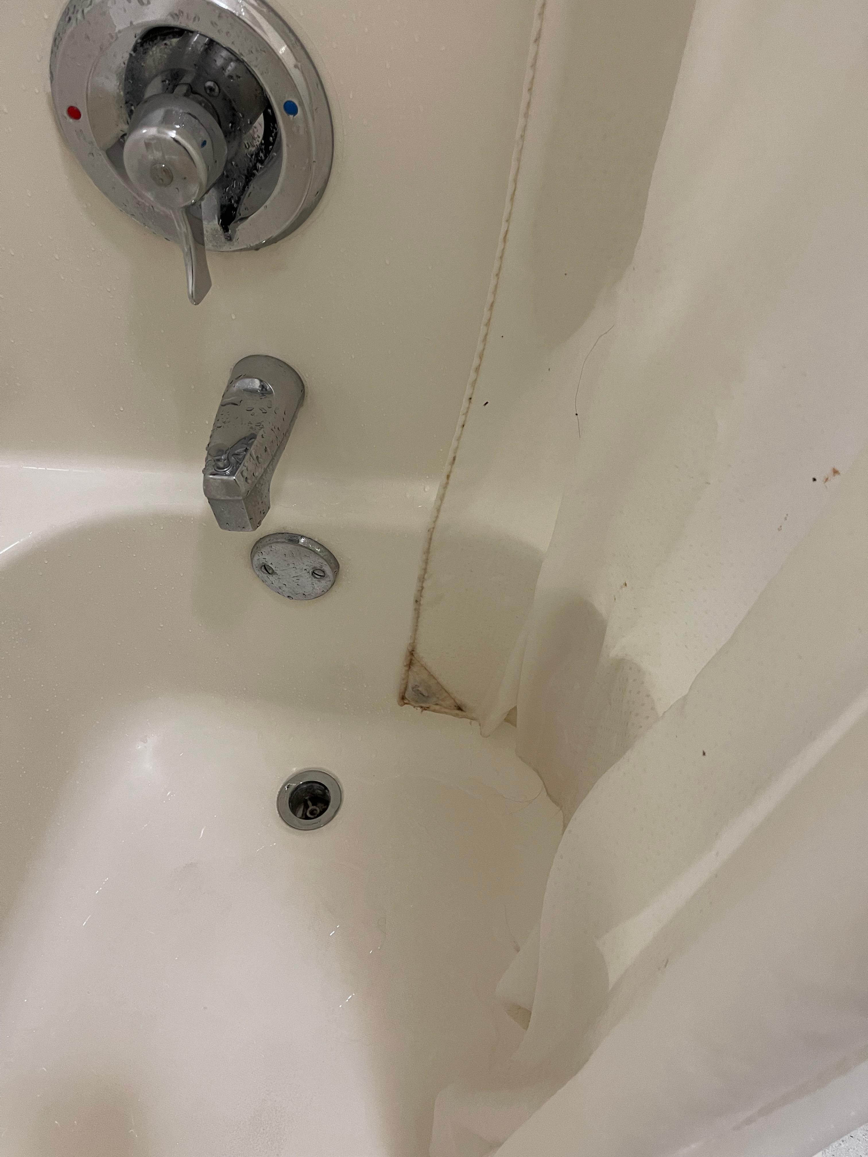 Mild on the shower curtain