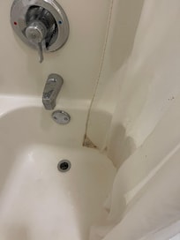 Mild on the shower curtain