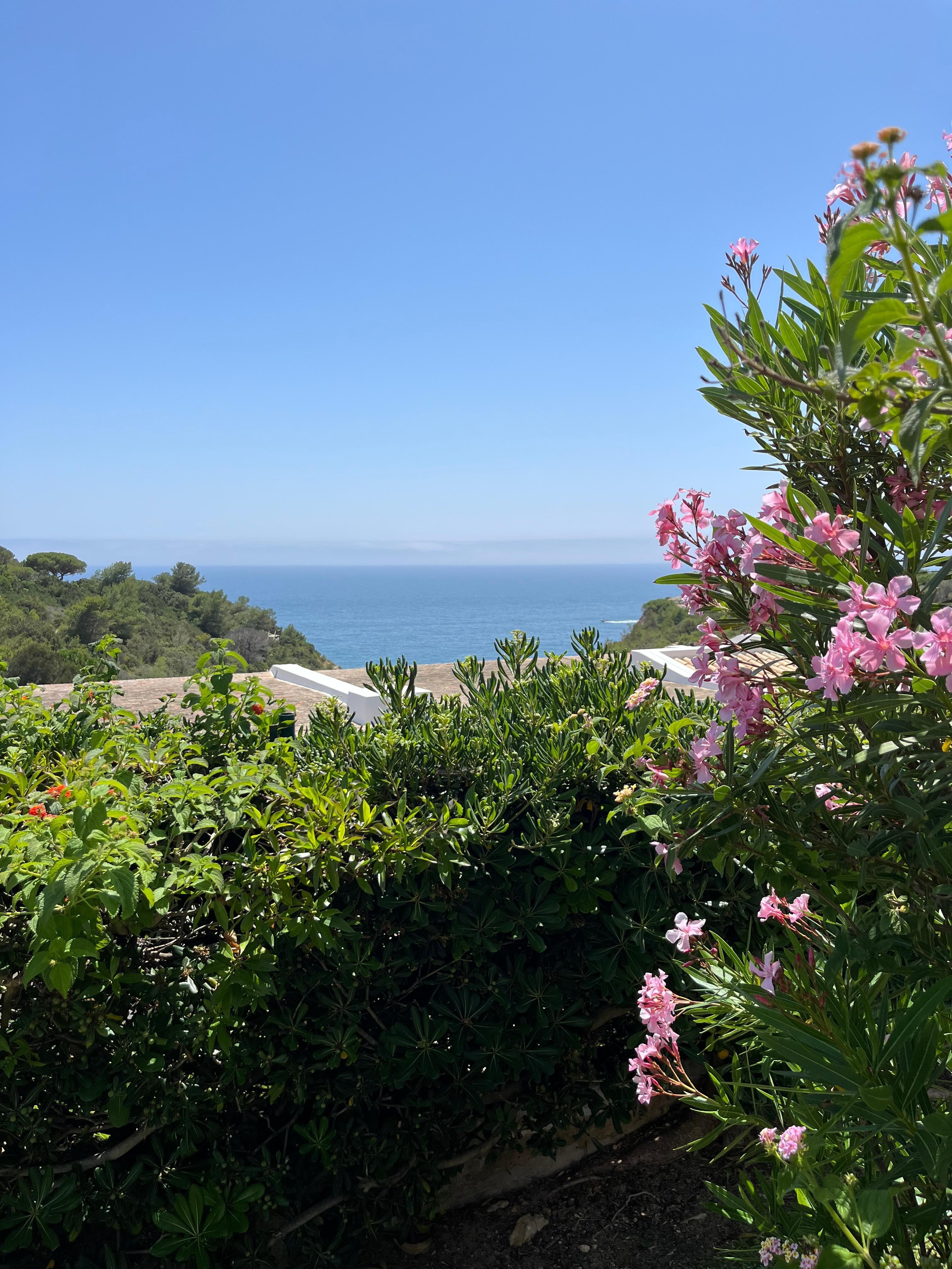 View from Villa