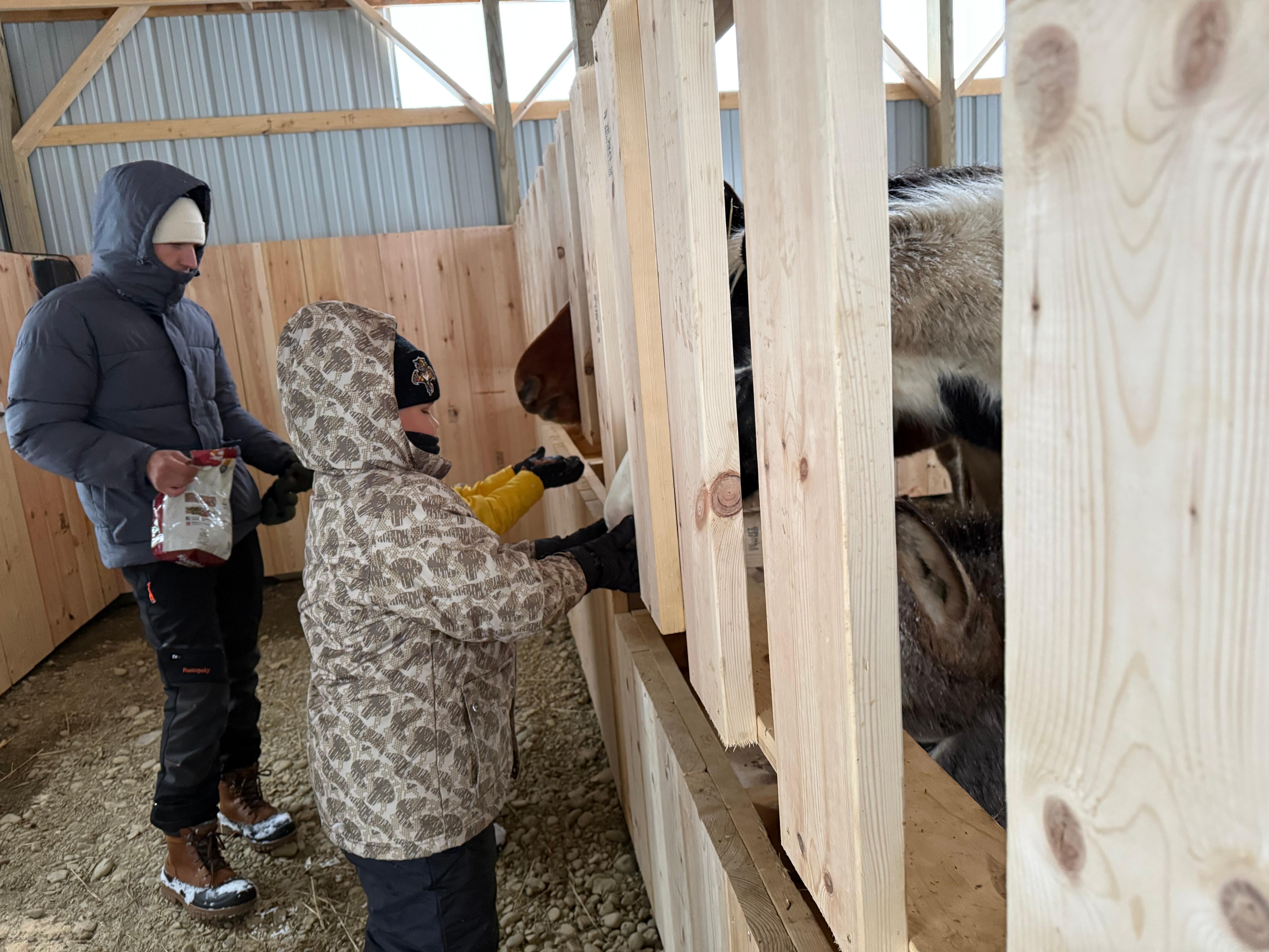 Feeding the farm animals