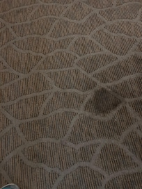Second carpet stain