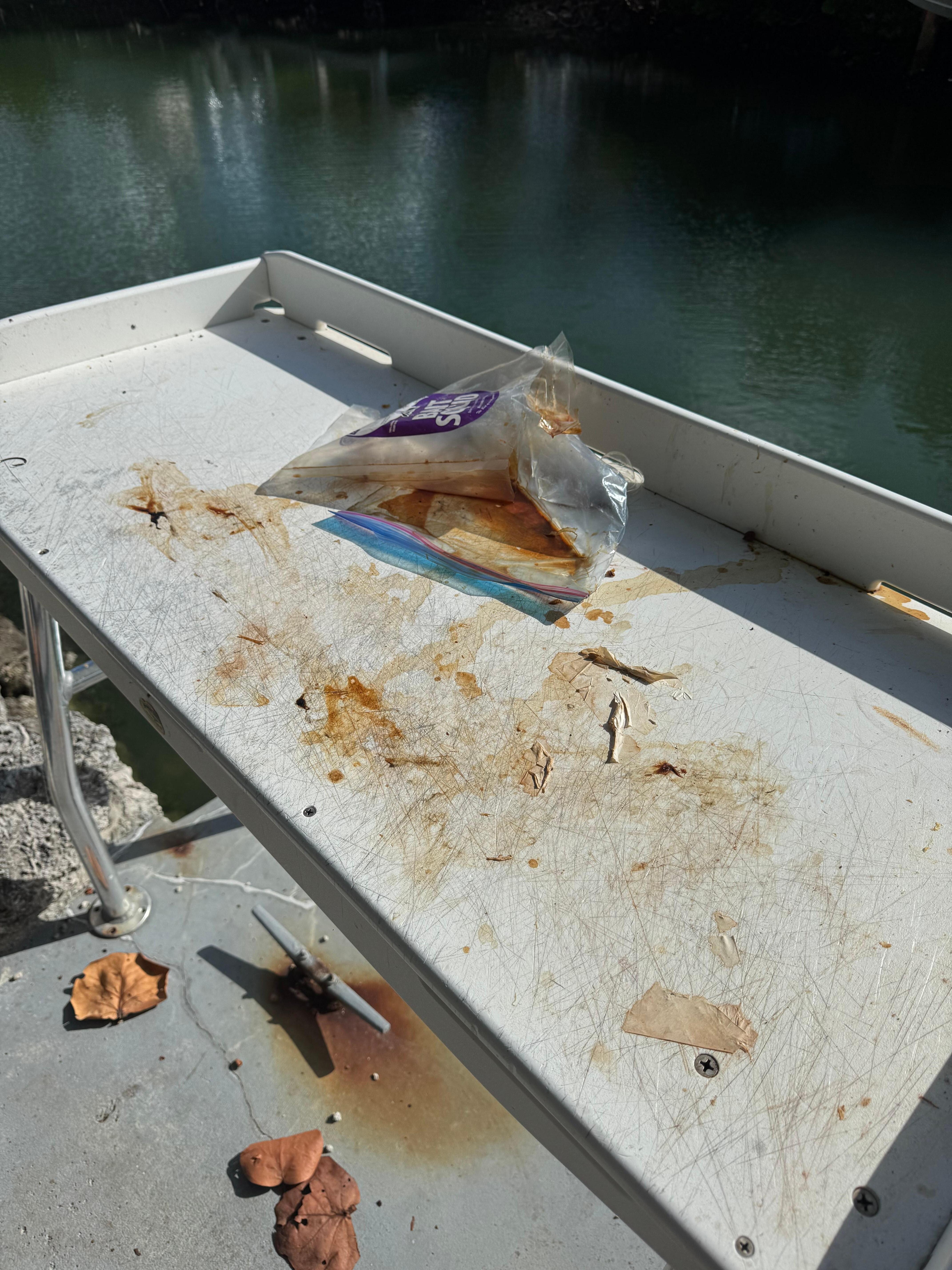 Bait station left dirty