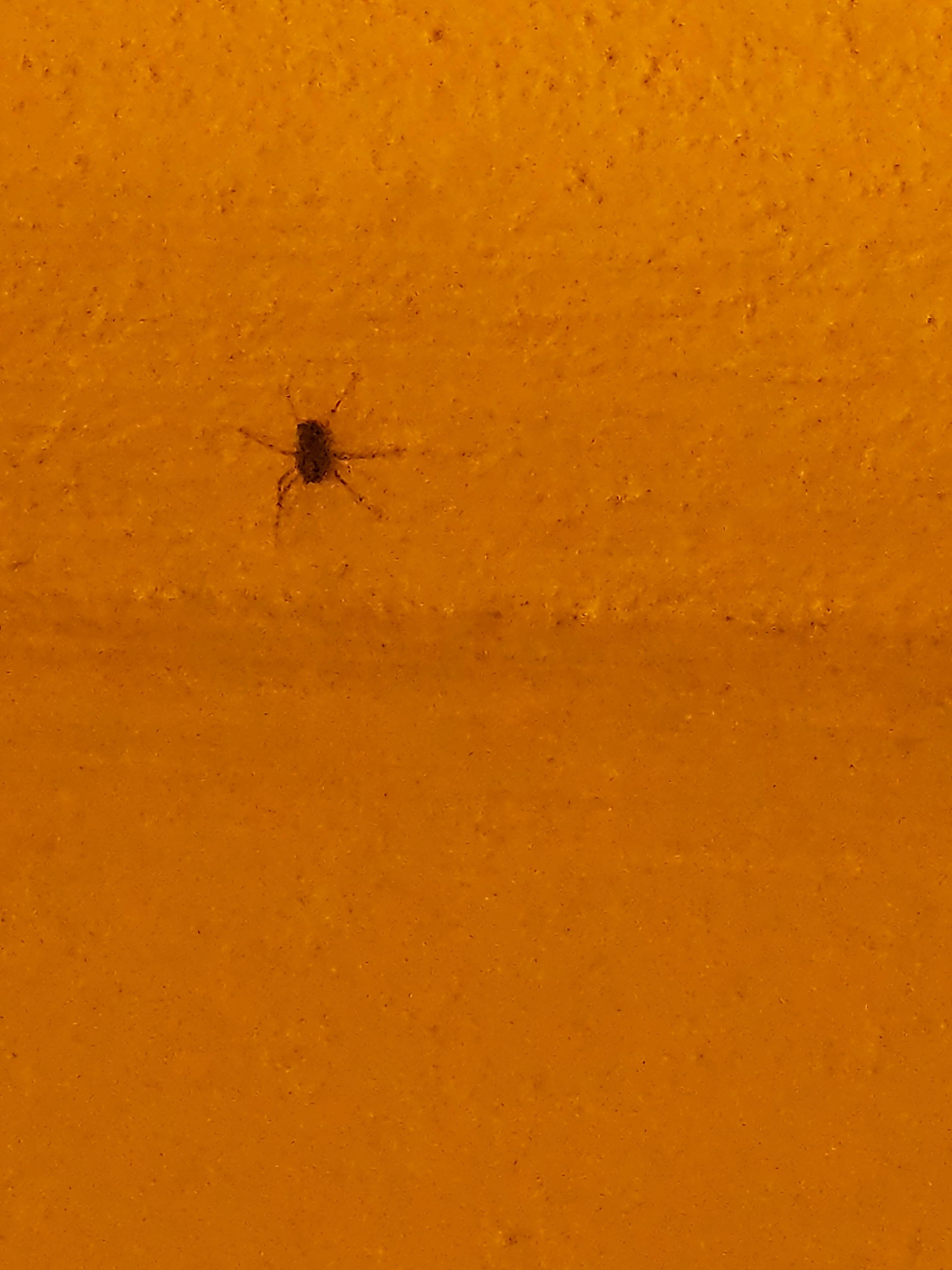 A lot of bugs in the rooms, our group - almost everyone had bug bites from staying in the rooms