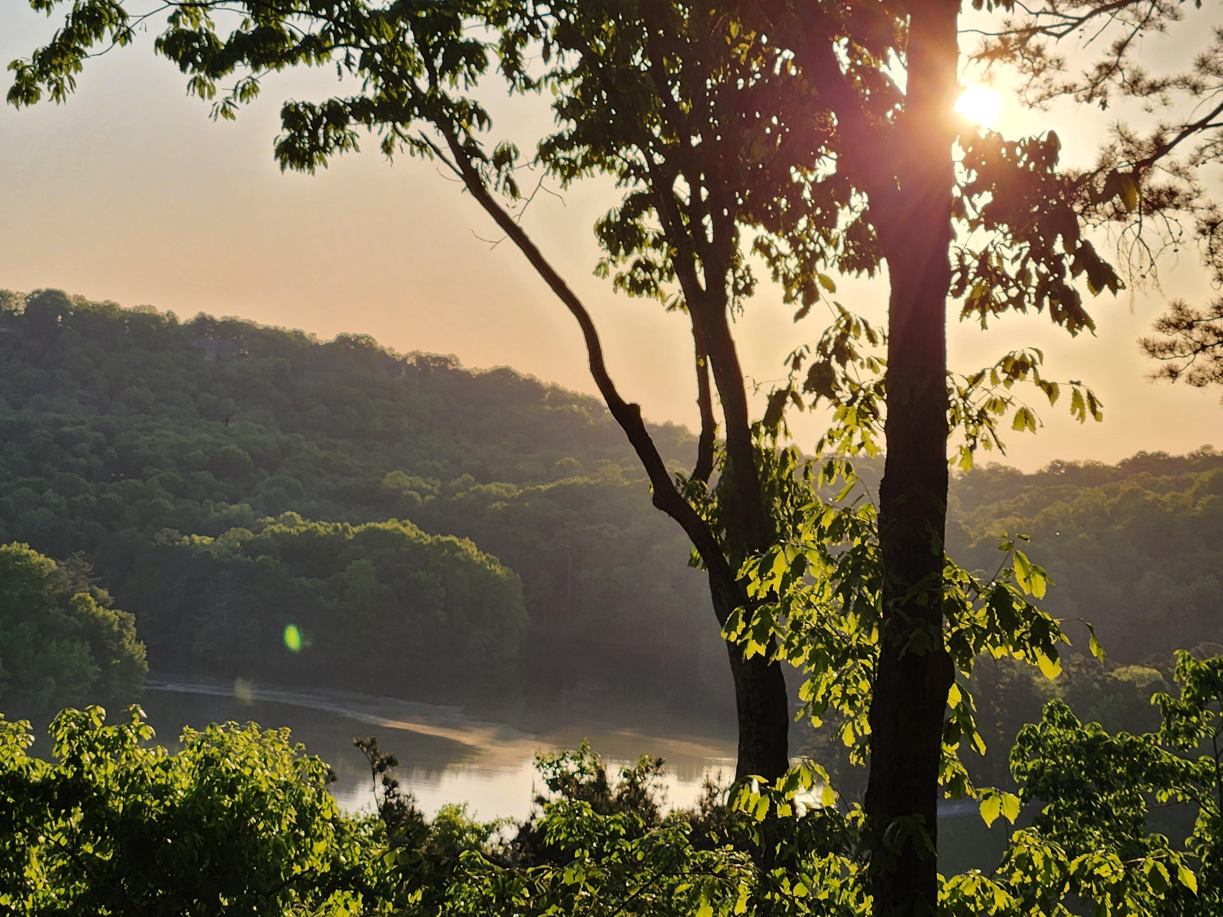 Mornings at Treetopia!