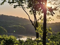 Mornings at Treetopia!