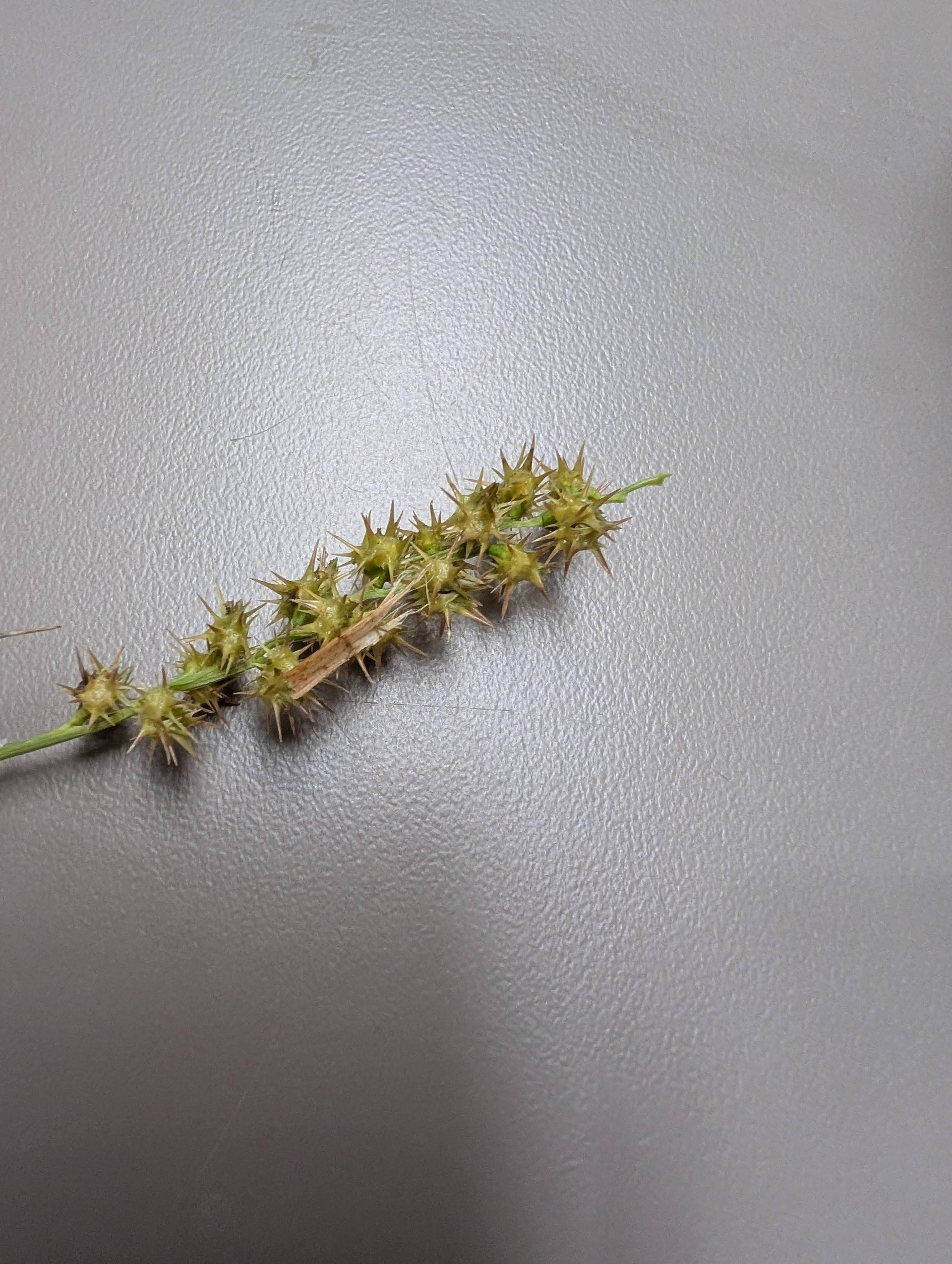 These would have all been in our feet