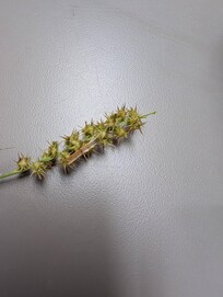 These would have all been in our feet