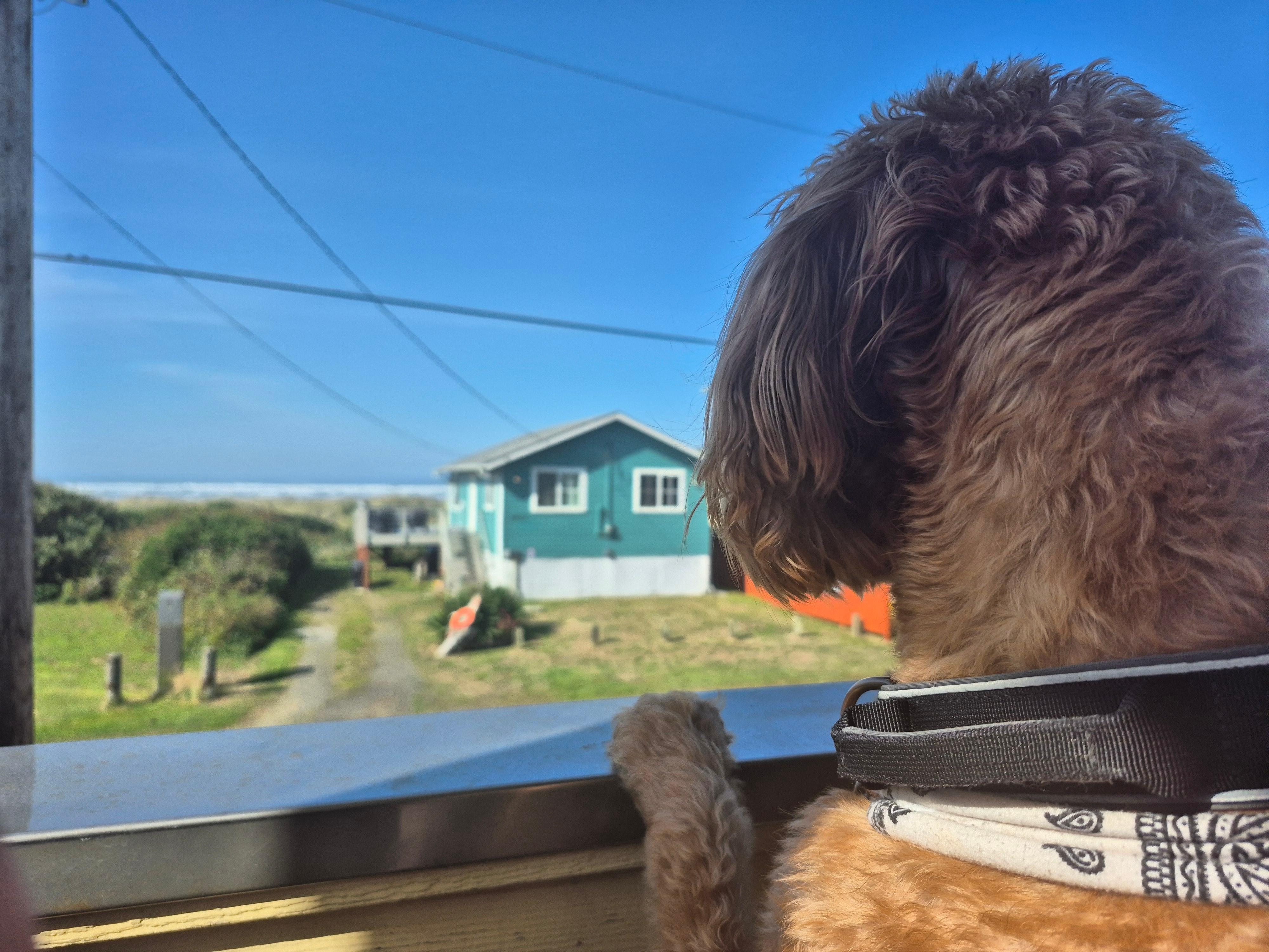 View from back patio. 