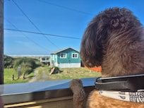 View from back patio.