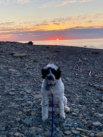 Lucy enjoying our last sunset.