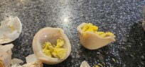 Rust water boiled eggs. No they are not organic, they were white prior to boiling.