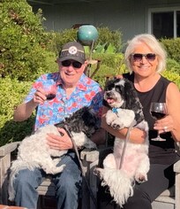 Sitting in the lovely private patio, sipping on our favorite wine and overlooking the grounds with the ocean in the distance. ♥️ 🐾