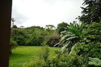 The back garden and play area