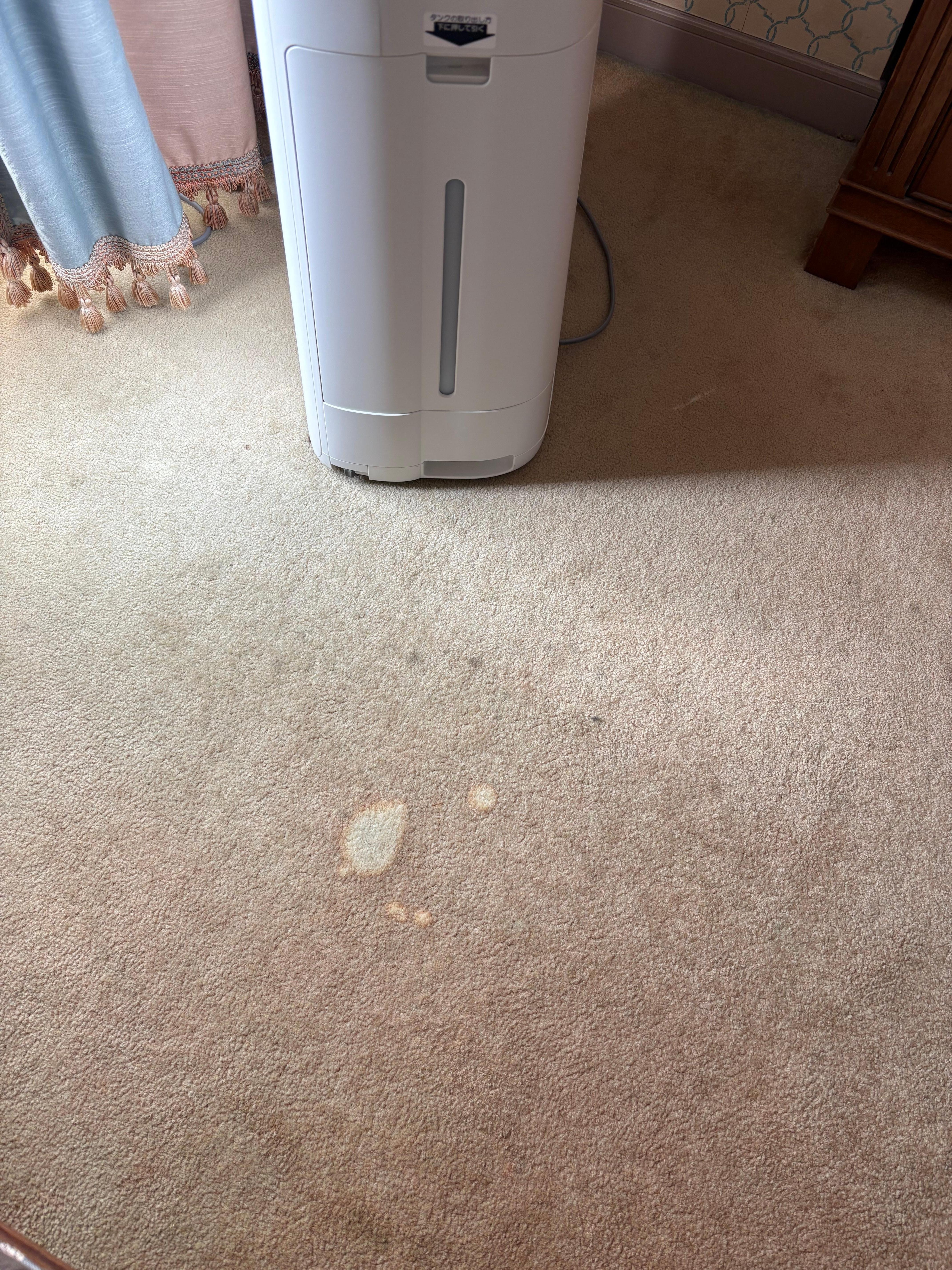 Burn hole and stain on carpet in room.
