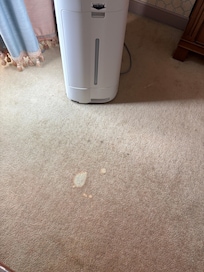 Burn hole and stain on carpet in room.