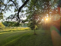 Back yard area