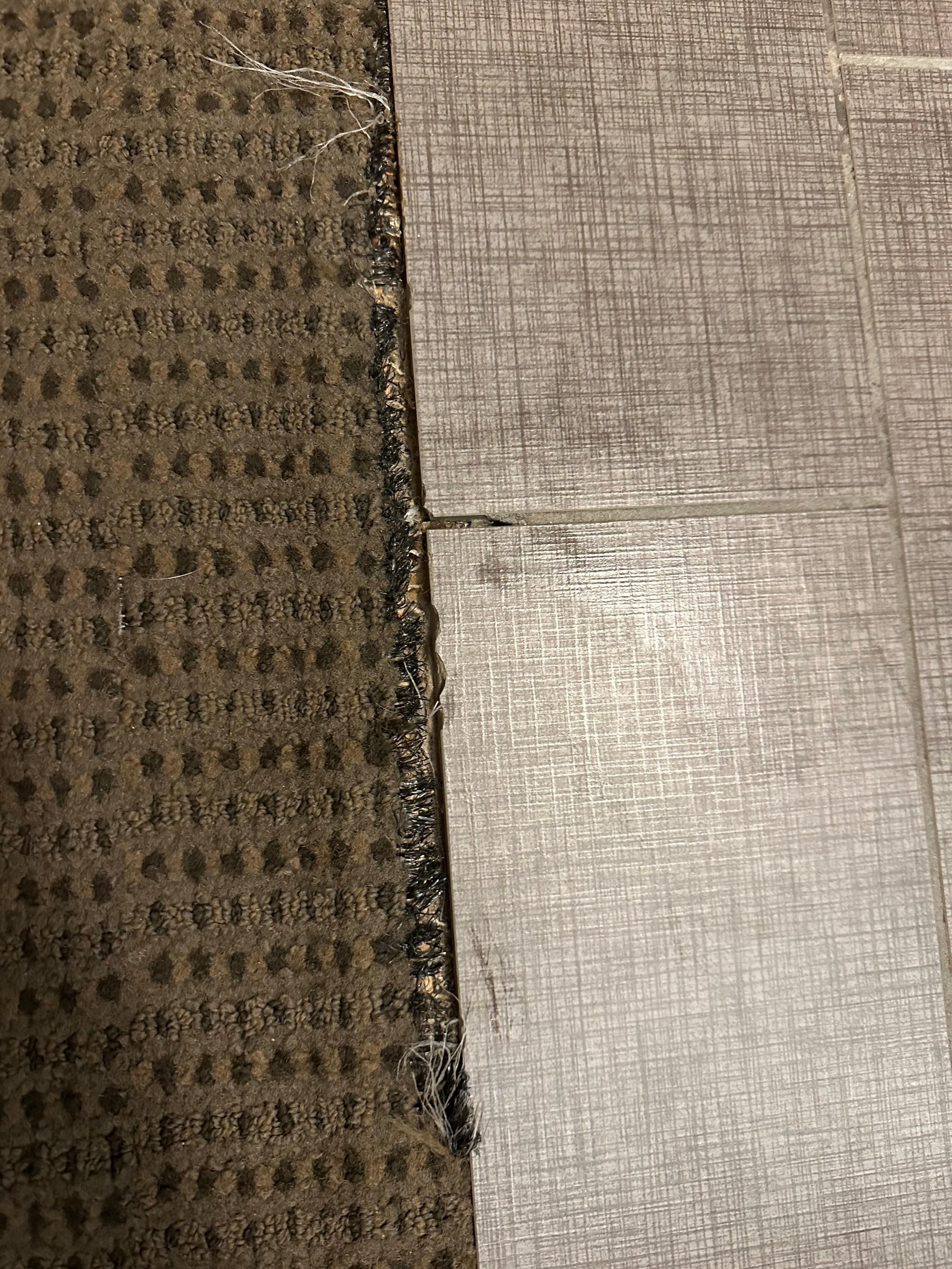 carpet/tile gap, exposed nail strip. Hazard issue