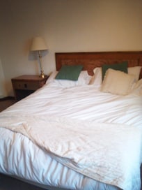 Bed was very hard and could feel every spring.