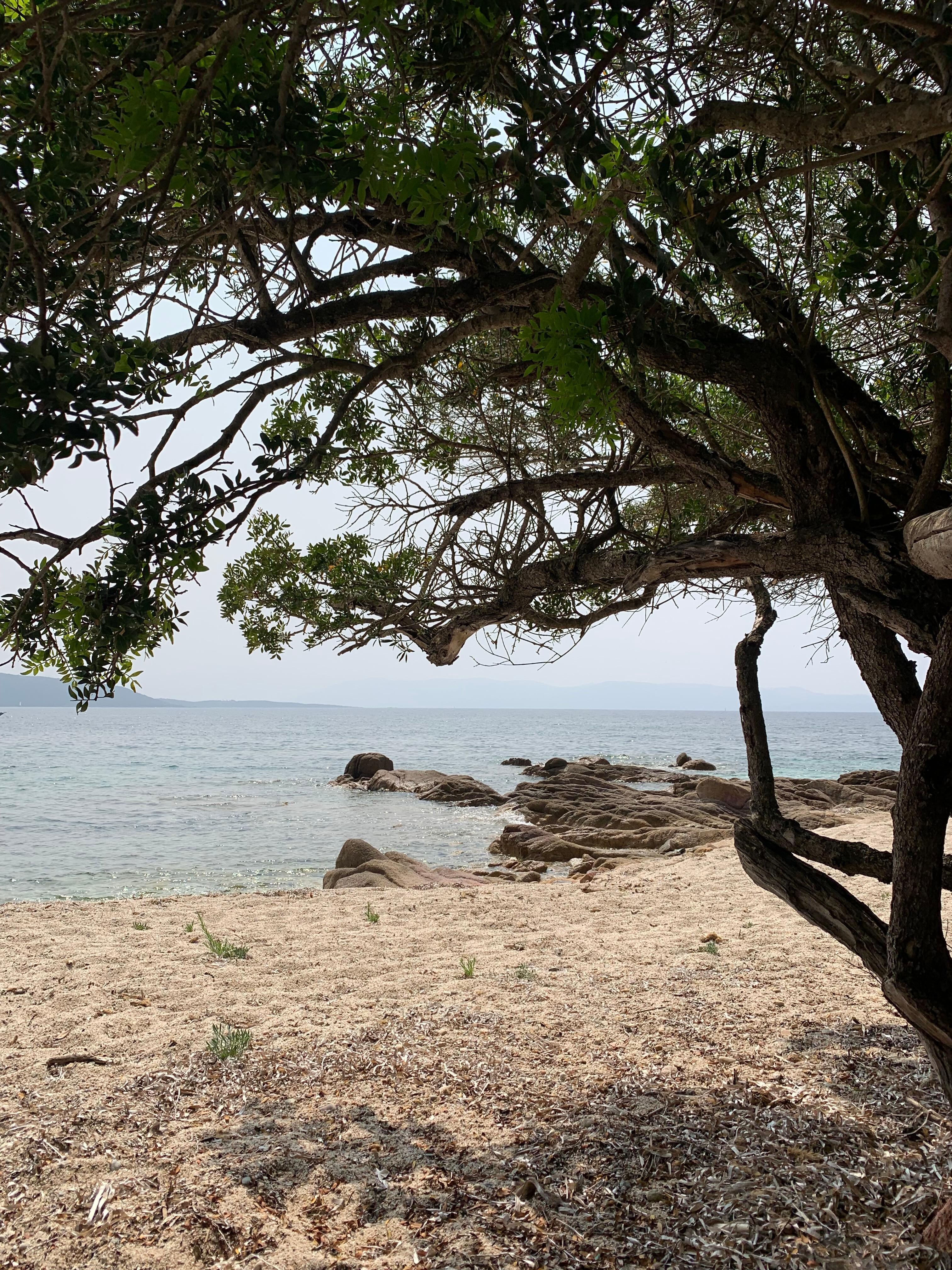 Der herrliche kleine Strand
