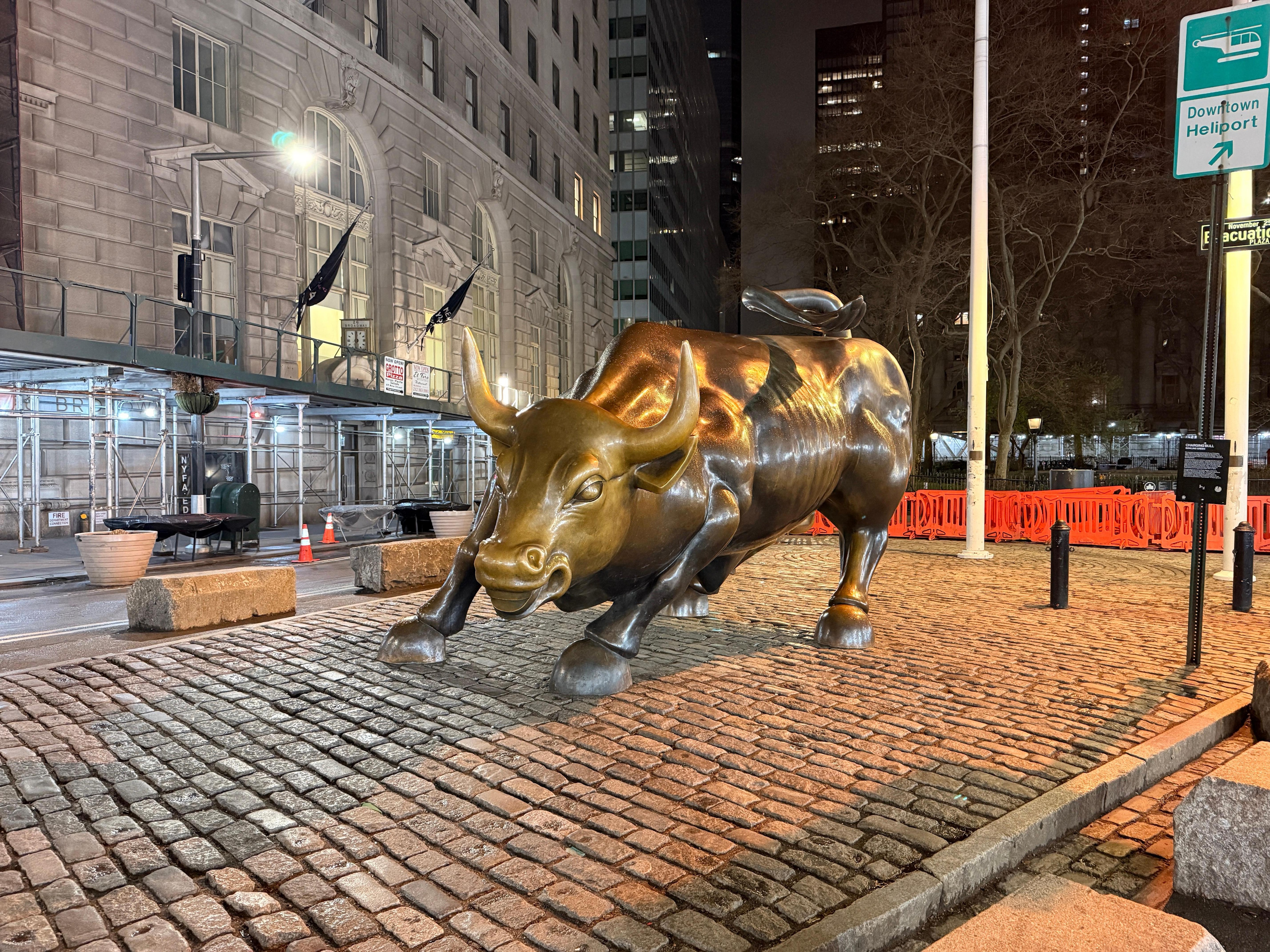 bull