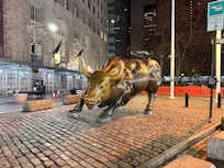 bull