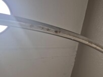 Black mold on the shower rod