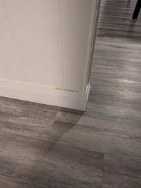 Dog pee on wall and floor