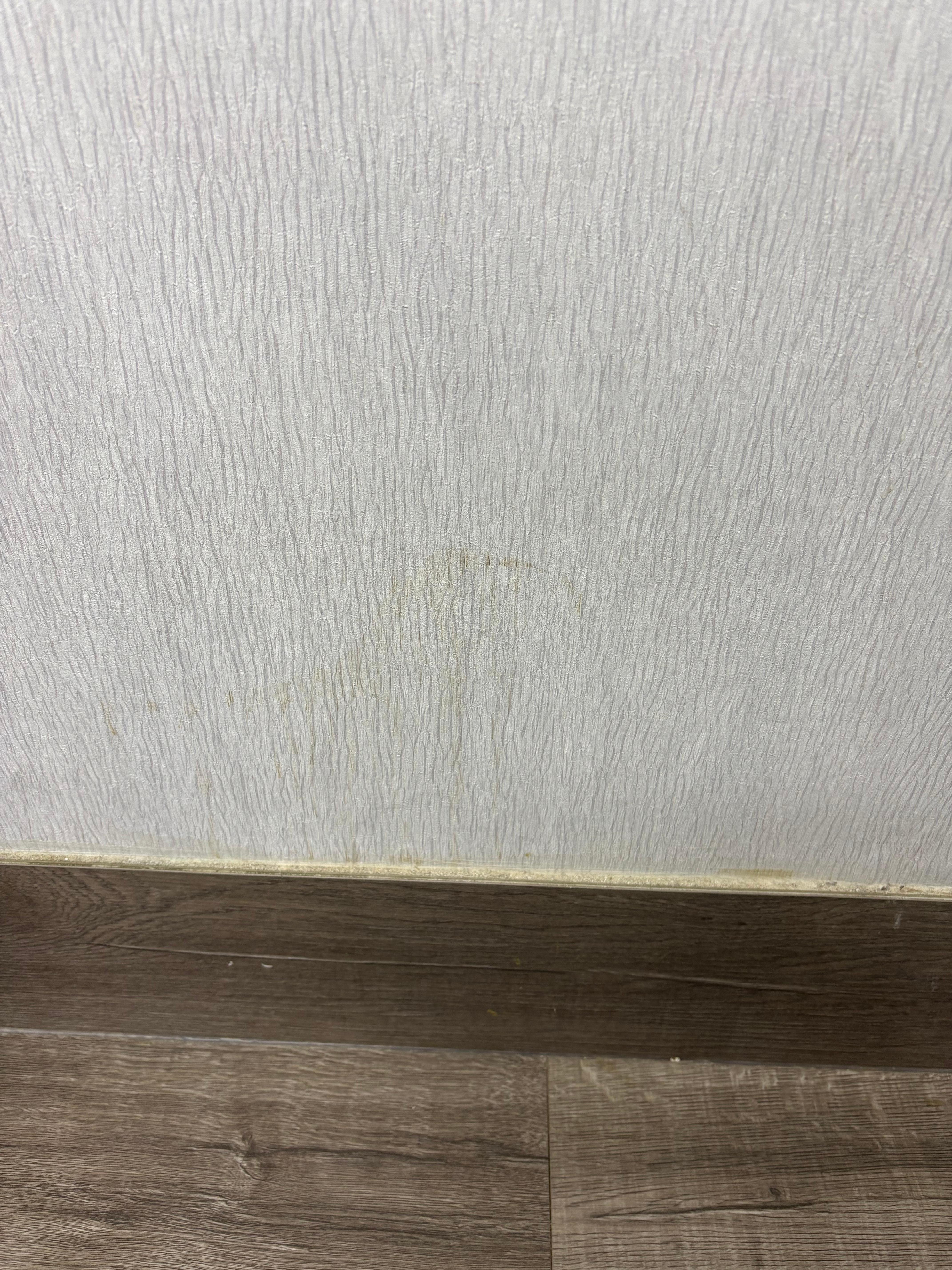 Stains on bathroom walls 