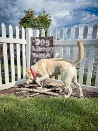 Jack inspected the library