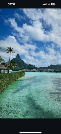 Lost in paradise