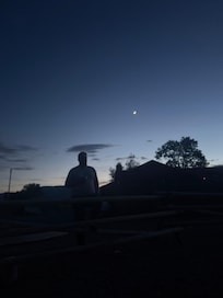 The stars are incredible!