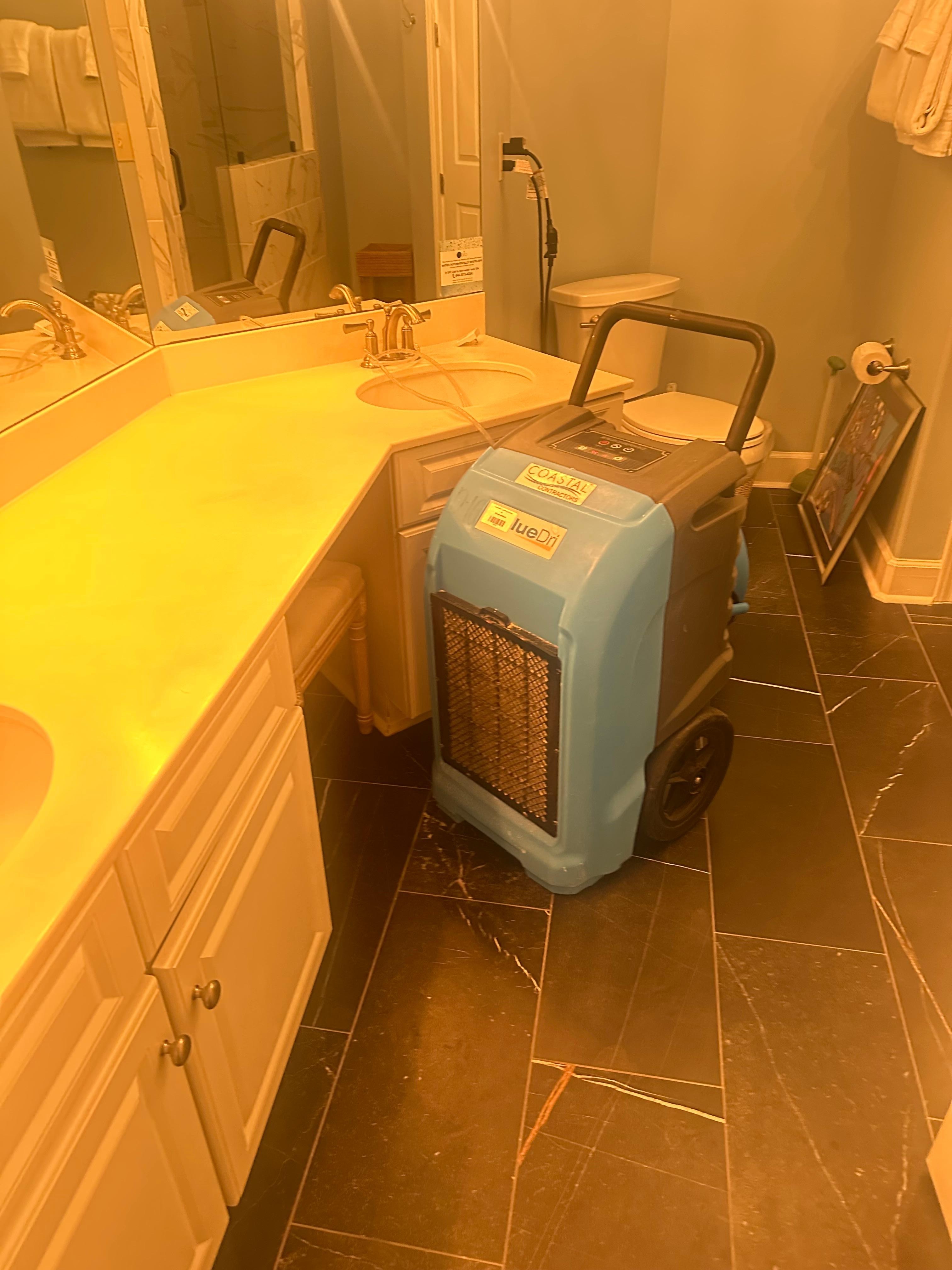 Large dehumidifier and fan. One sink w hose.  LOUD