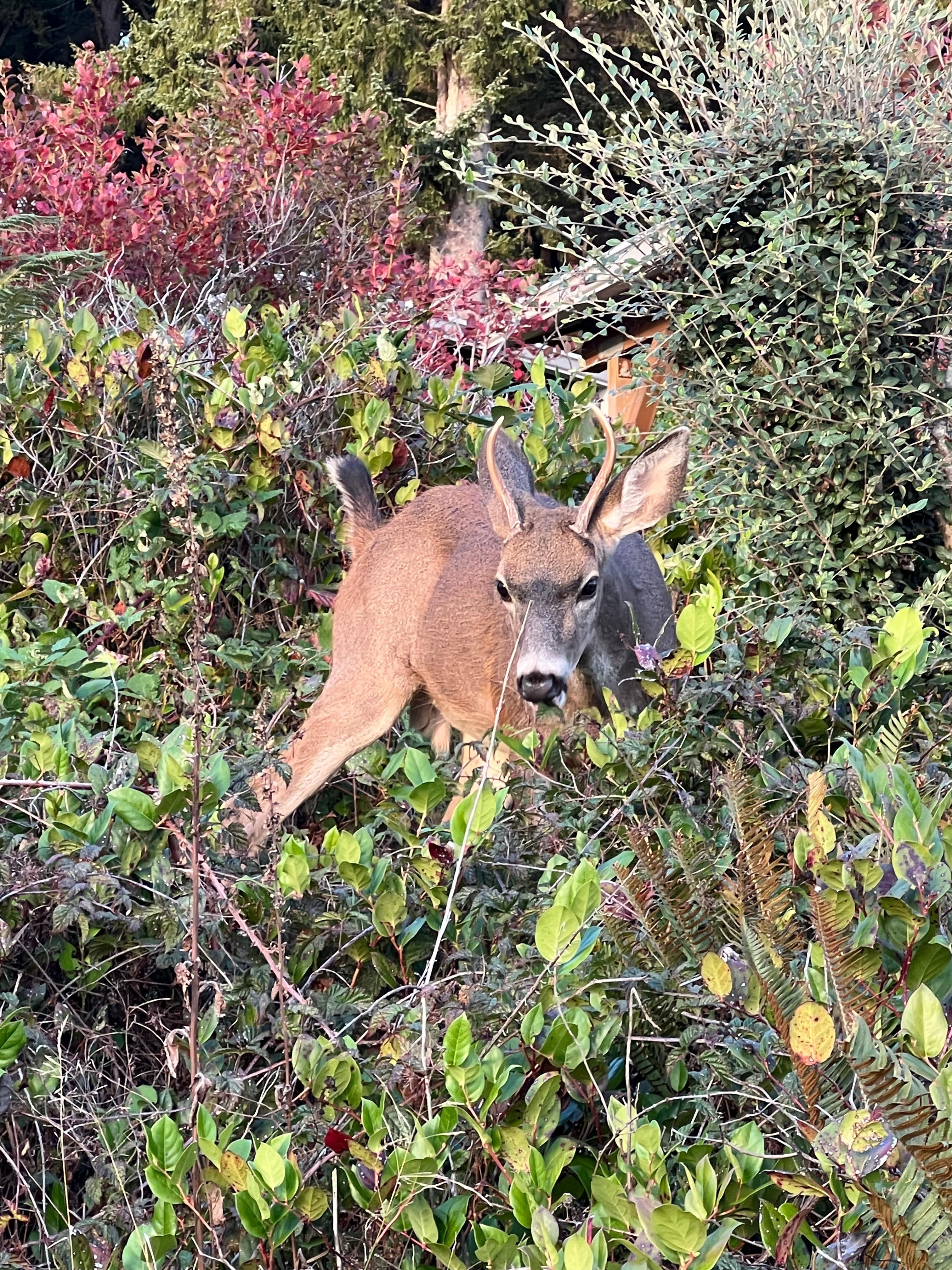 In the neighborhood VRBO