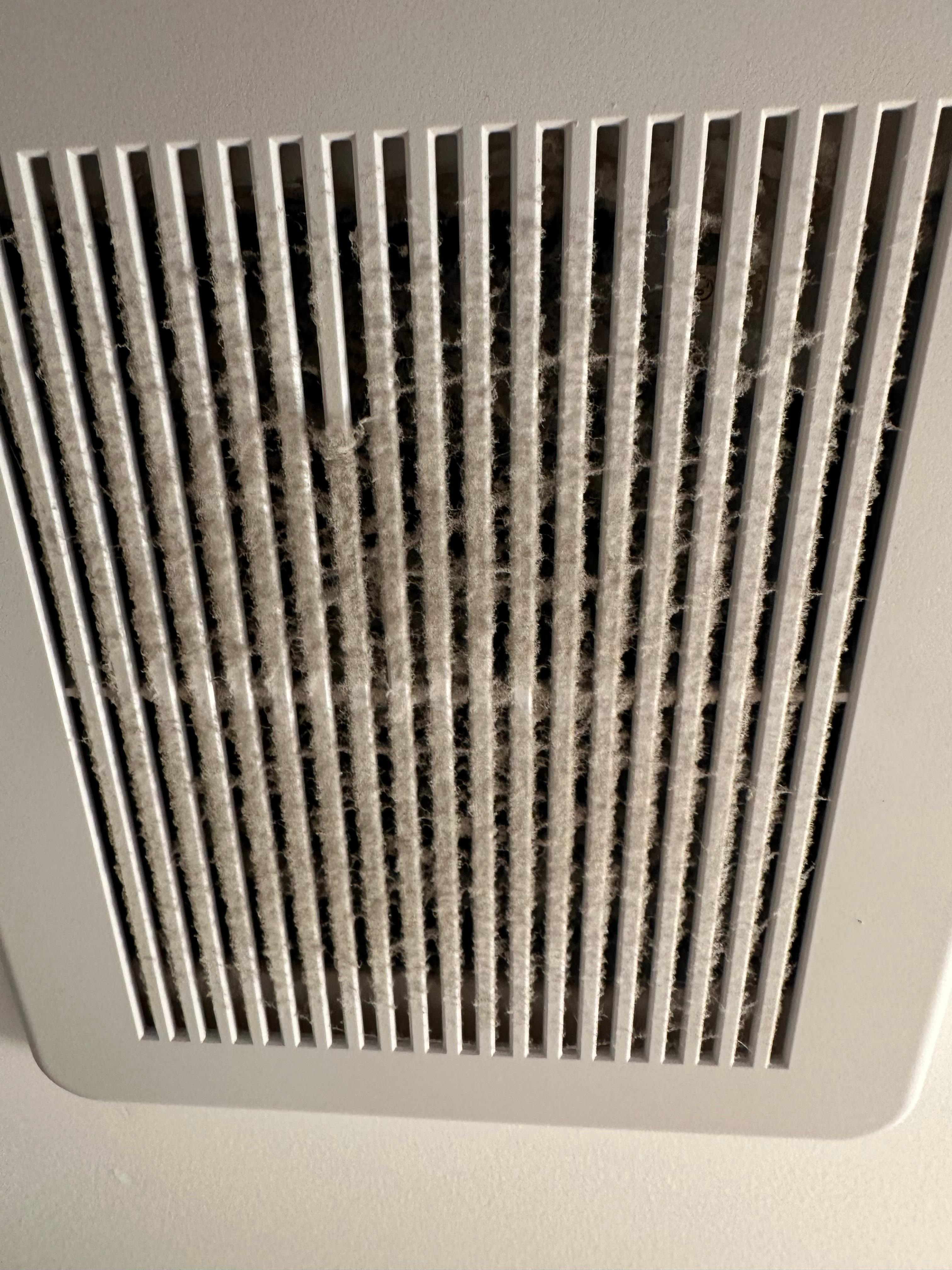 Filthy bathroom vents
