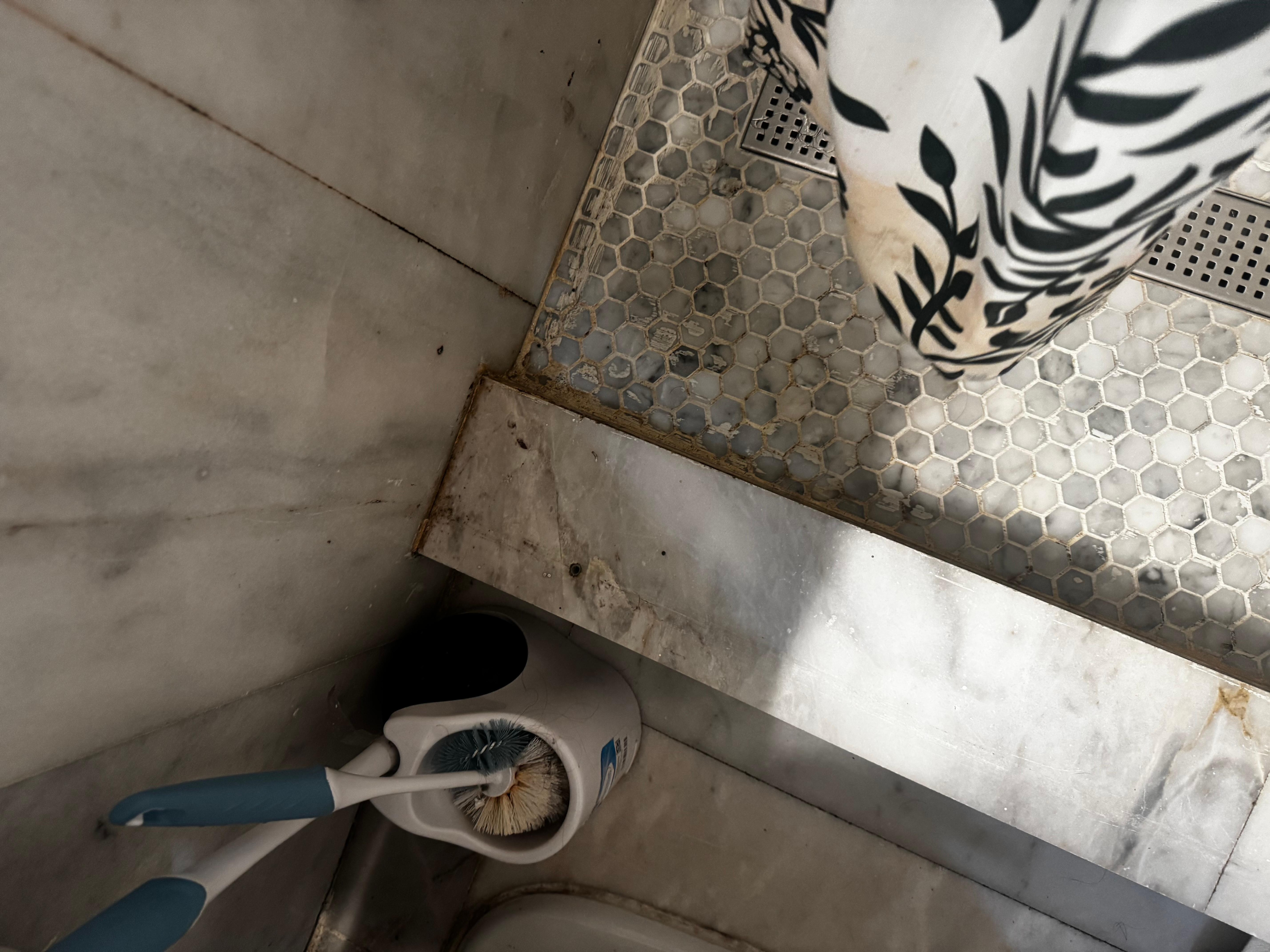 Mold everywhere in the bathroom 