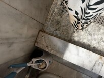 Mold everywhere in the bathroom