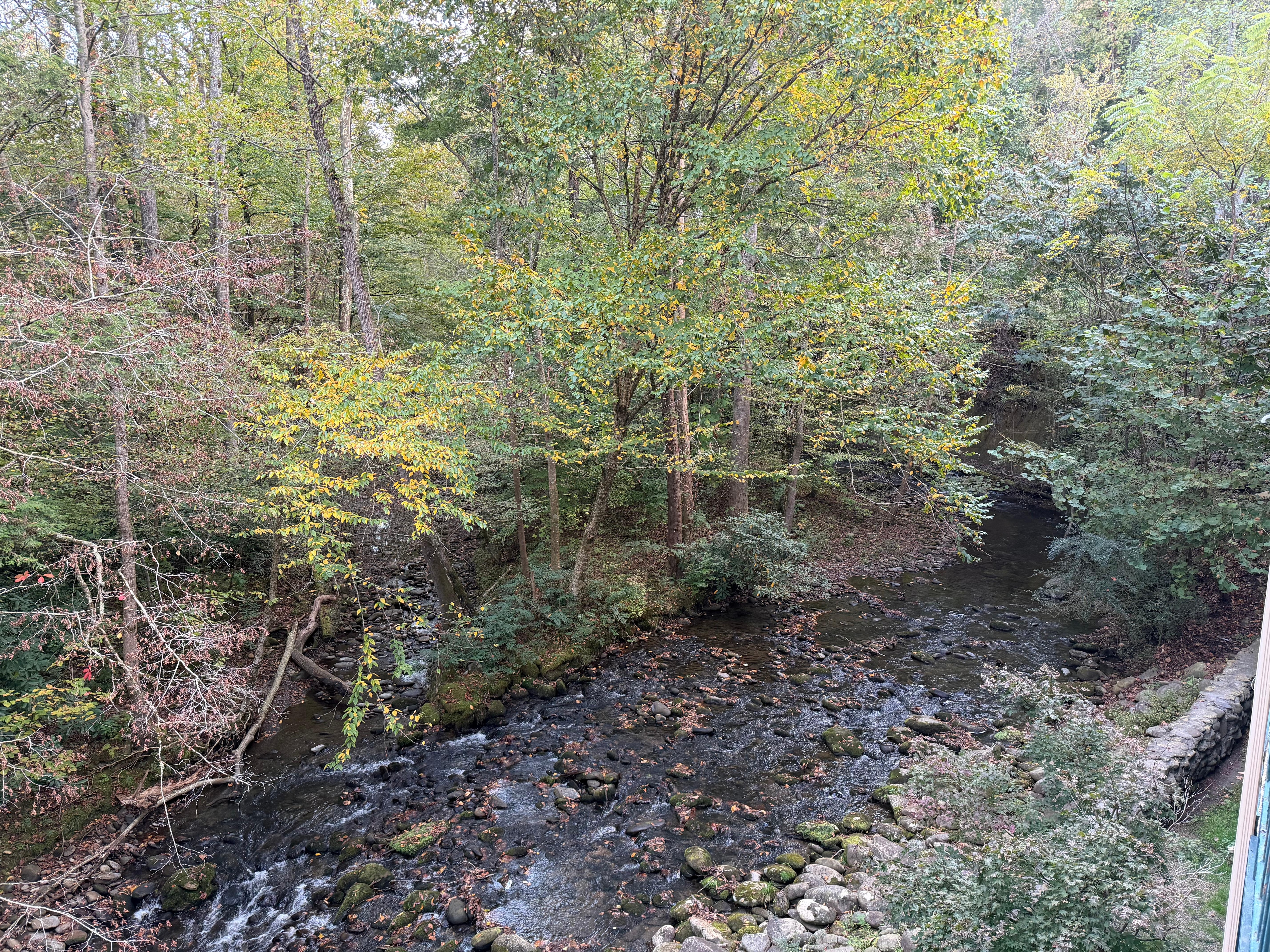 View from the balcony