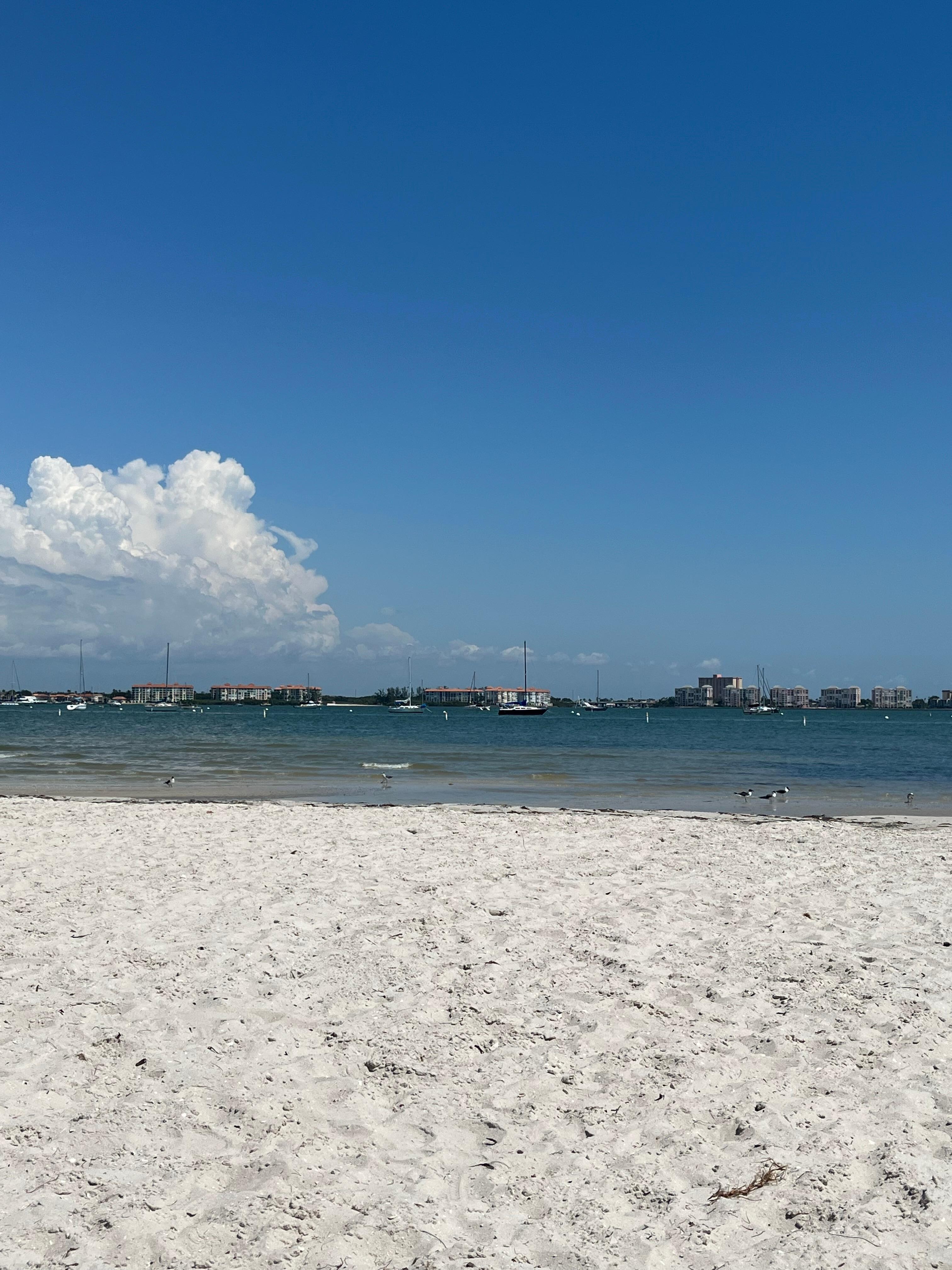 Pretty, quiet beach walkable or short drive with free parking from the house. 
