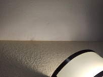 Cobwebs