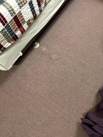Stains on carpet