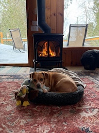 Our pup loving the warmth of the fie