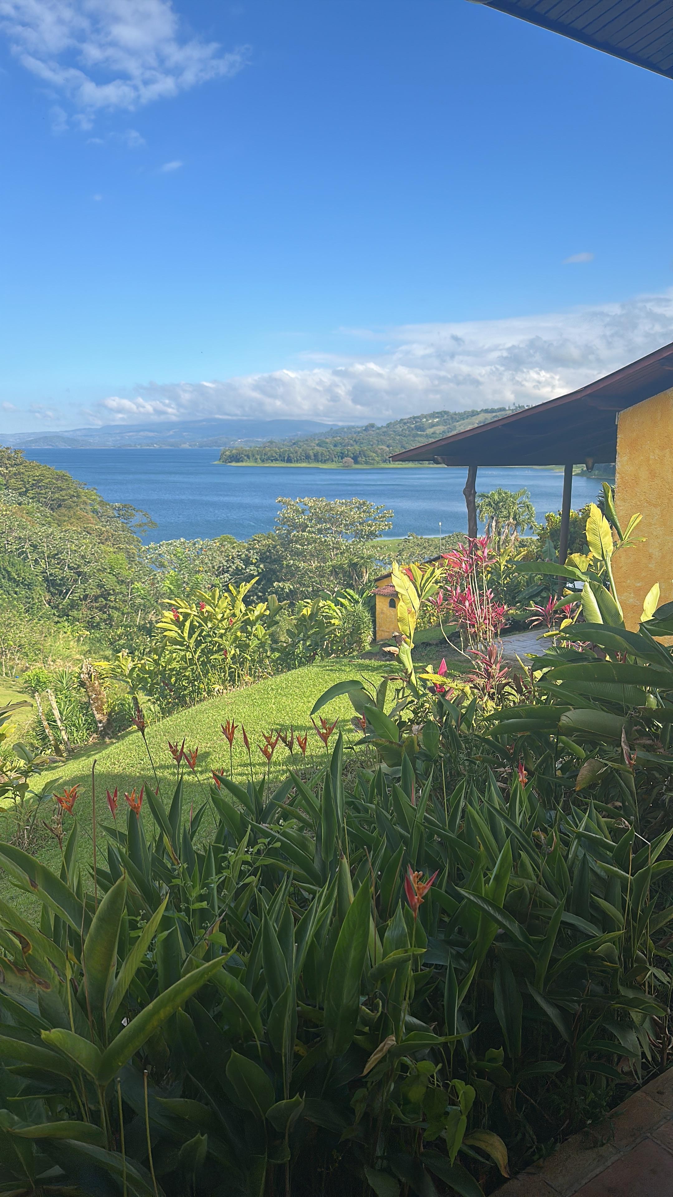 The view from cottage #2