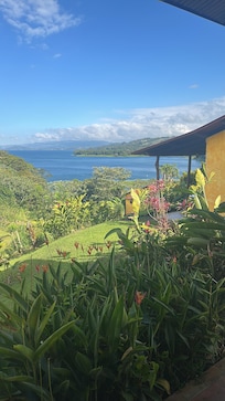 The view from cottage #2